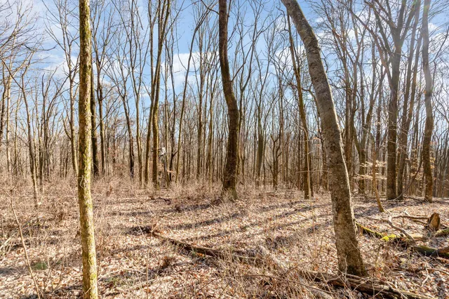 a view of wooden fence