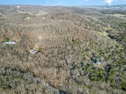an aerial view of residential houses with outdoor space and trees