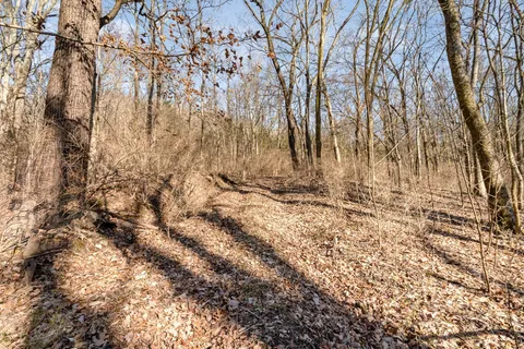 a view of wooden fence under a large tree