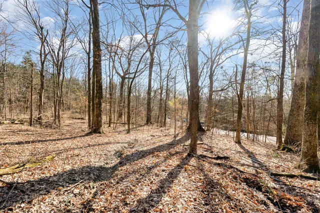 a view of a backyard of the house