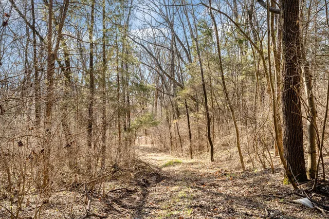 a view of yard with trees