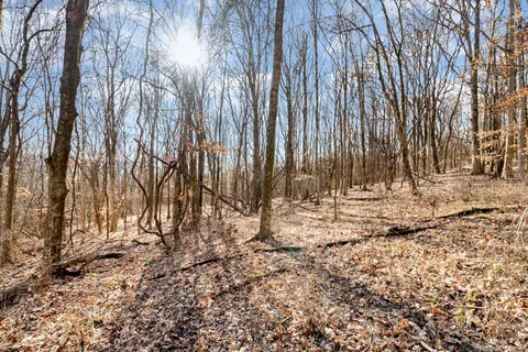 a view of covered with snow
