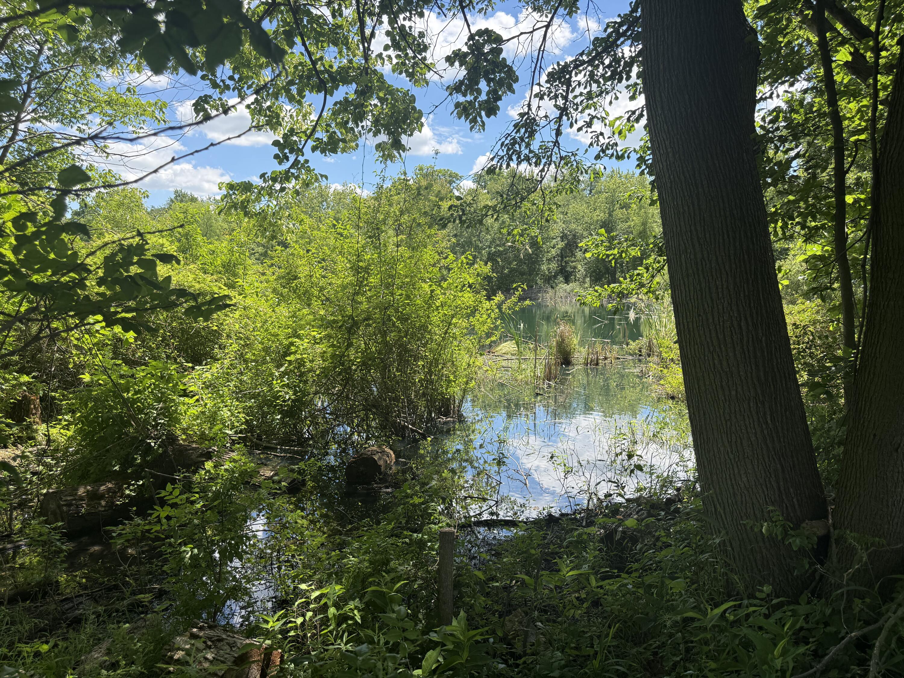 Vl Tamarack Road Pittsford, MI 49271 - Photo 23 of 24 H22