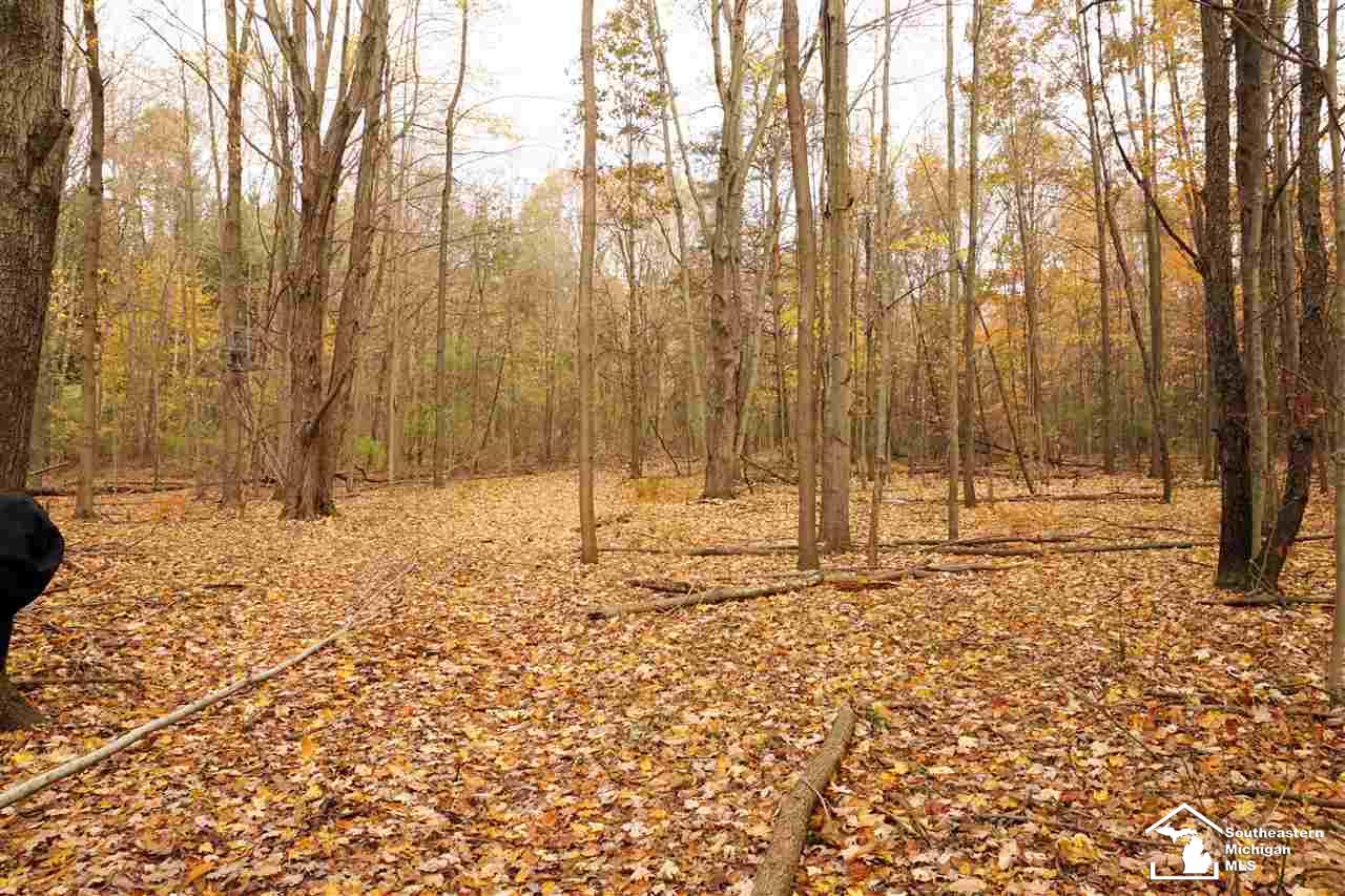 0 West Rauch Road Petersburg, MI 49270 - Photo 3 of 6