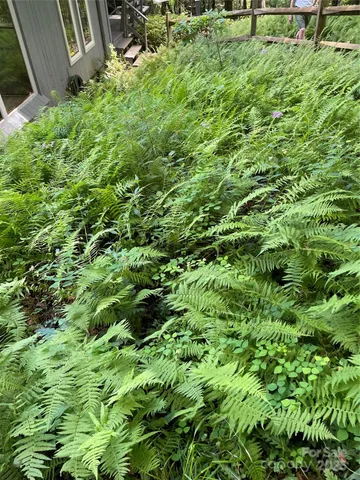 a backyard of a house with a lots of plant