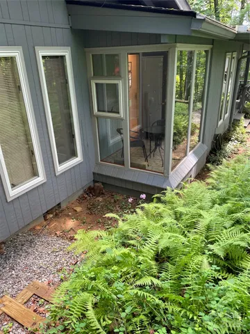 a view of a garden with a pathway