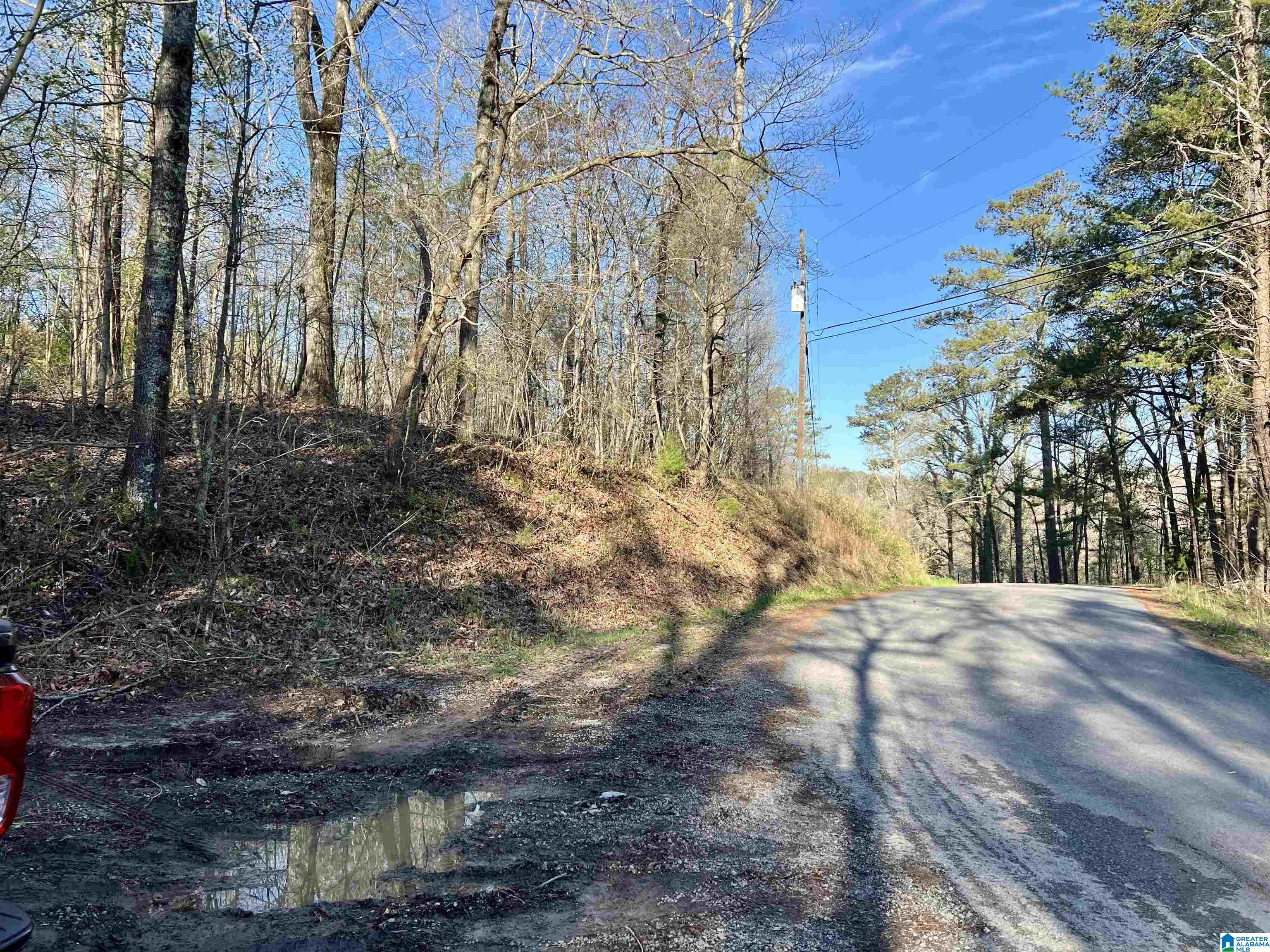 0 Lakeshore Lane, Unit 3 Oneonta, AL 35121 - Photo 12 of 21