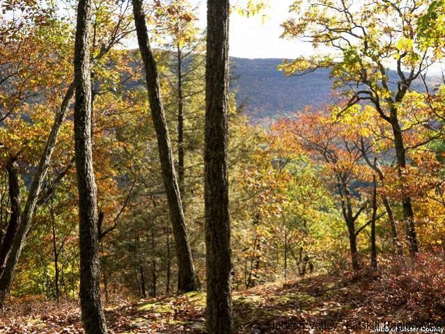 0 Jim's Road Mount Tremper, NY 12457 - Photo 11 of 34 Photo 11