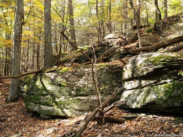 0 Jim's Road Mount Tremper, NY 12457 - Photo 12 of 34 Photo 12