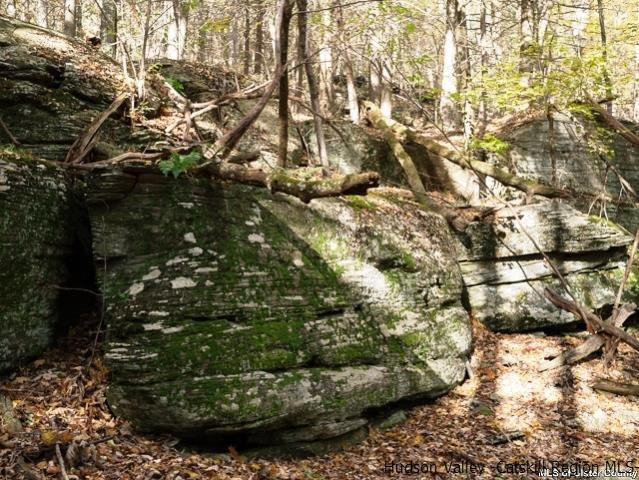 0 Jim's Road Mount Tremper, NY 12457 - Photo 13 of 34 Photo 13