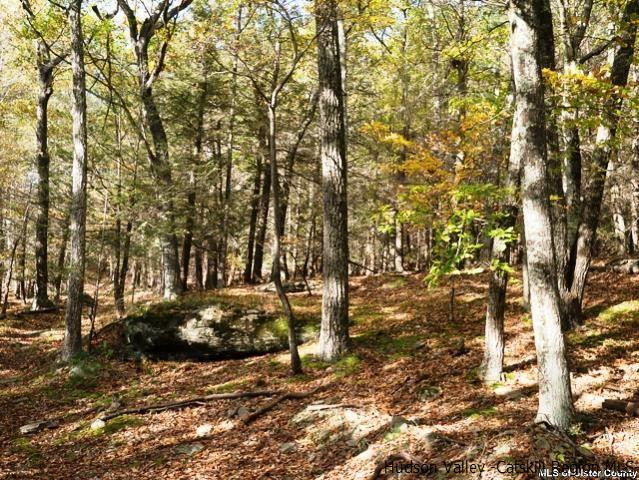 0 Jim's Road Mount Tremper, NY 12457 - Photo 14 of 34 Photo 14