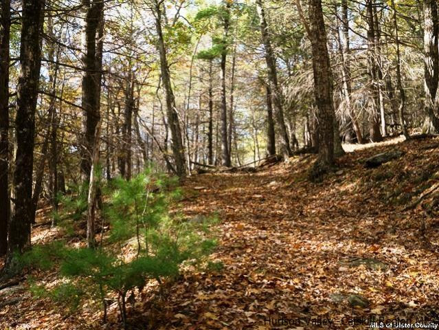 0 Jim's Road Mount Tremper, NY 12457 - Photo 15 of 34 Photo 15