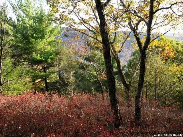 0 Jim's Road Mount Tremper, NY 12457 - Photo 16 of 34 Photo 16