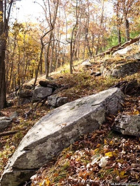 0 Jim's Road Mount Tremper, NY 12457 - Photo 17 of 34 Photo 17
