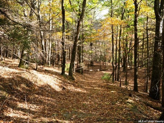0 Jim's Road Mount Tremper, NY 12457 - Photo 18 of 34 Photo 18