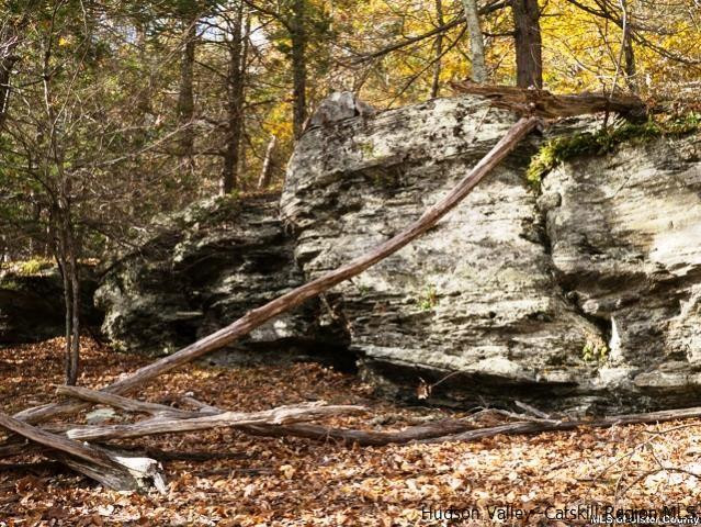 0 Jim's Road Mount Tremper, NY 12457 - Photo 19 of 34 Photo 19