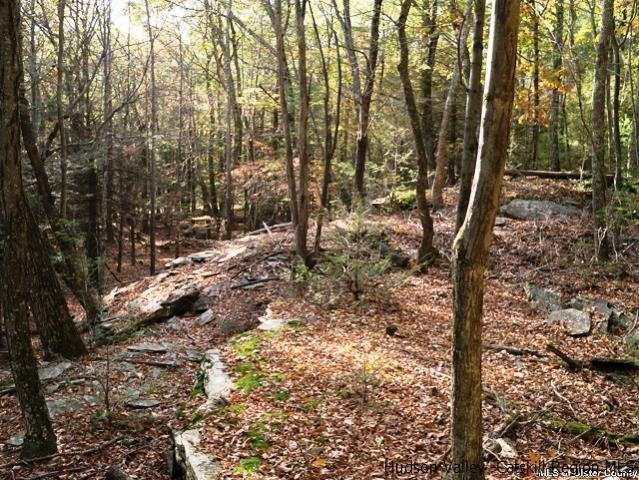 0 Jim's Road Mount Tremper, NY 12457 - Photo 20 of 34 Photo 20
