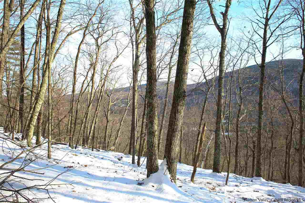 0 Jim's Road Mount Tremper, NY 12457 - Photo 2 of 34 Photo 2