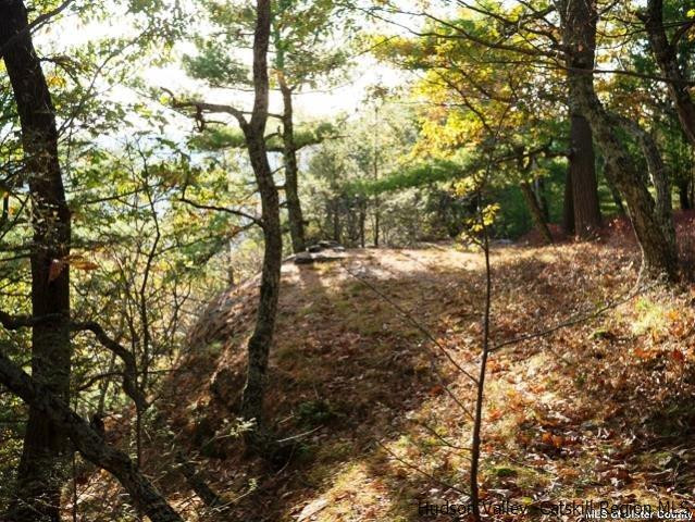 0 Jim's Road Mount Tremper, NY 12457 - Photo 21 of 34 Photo 21