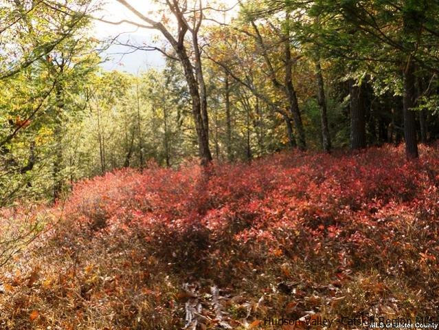 0 Jim's Road Mount Tremper, NY 12457 - Photo 22 of 34 Photo 22