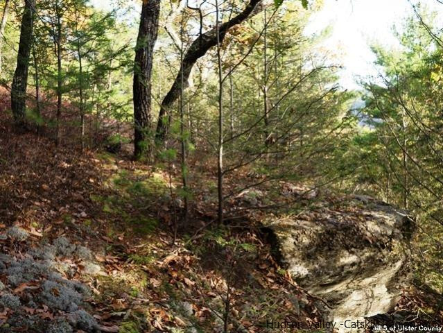 0 Jim's Road Mount Tremper, NY 12457 - Photo 24 of 34 Photo 24