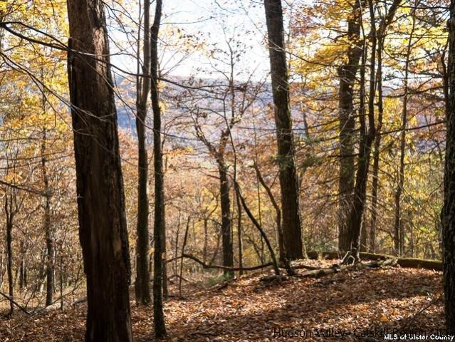 0 Jim's Road Mount Tremper, NY 12457 - Photo 25 of 34 Photo 25
