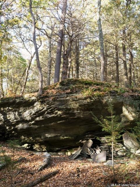0 Jim's Road Mount Tremper, NY 12457 - Photo 26 of 34 Photo 26