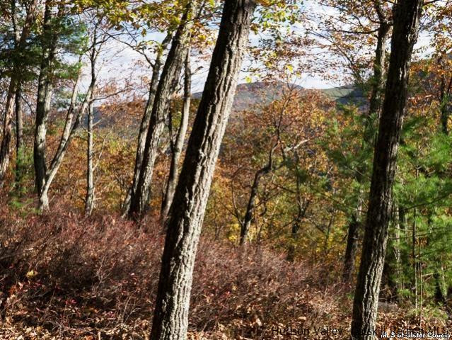 0 Jim's Road Mount Tremper, NY 12457 - Photo 27 of 34 Photo 27