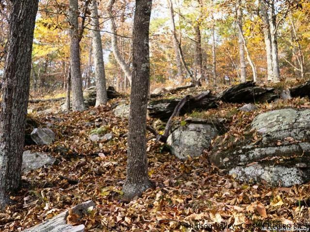 0 Jim's Road Mount Tremper, NY 12457 - Photo 28 of 34 Photo 28