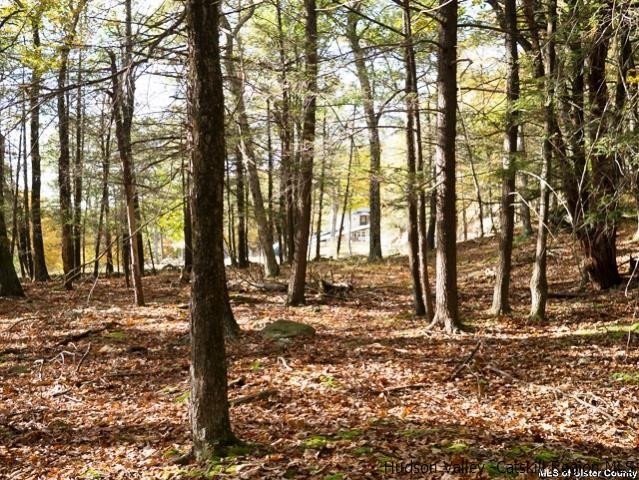 0 Jim's Road Mount Tremper, NY 12457 - Photo 29 of 34 Photo 29