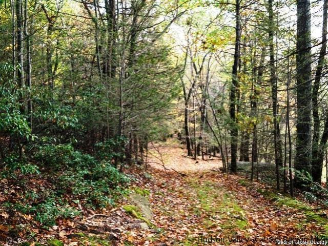 0 Jim's Road Mount Tremper, NY 12457 - Photo 3 of 34 Photo 3