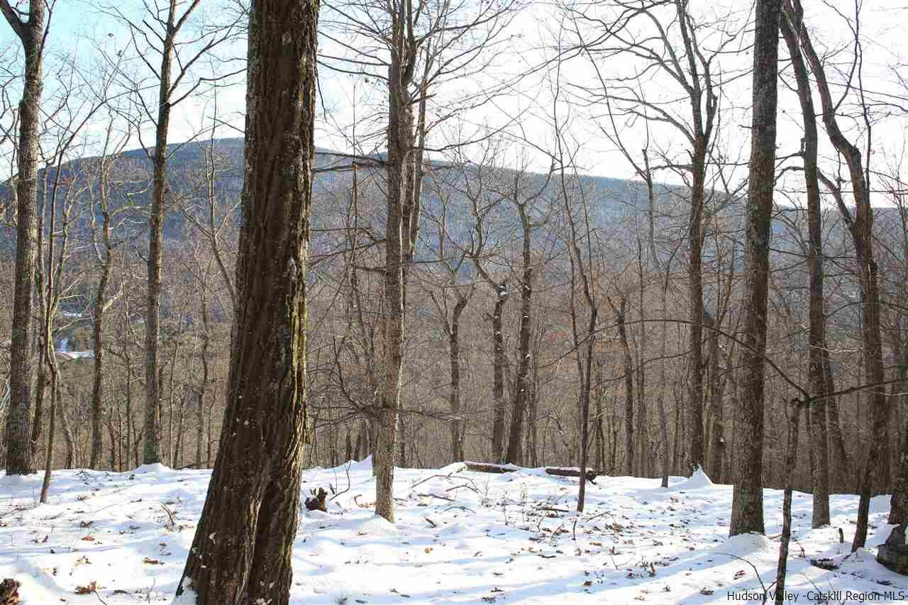 0 Jim's Road Mount Tremper, NY 12457 - Photo 31 of 34 Photo 31