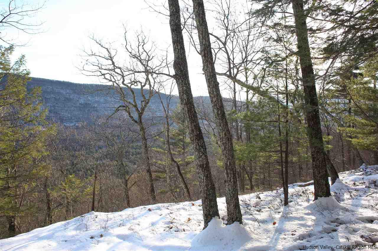 0 Jim's Road Mount Tremper, NY 12457 - Photo 32 of 34 Photo 32