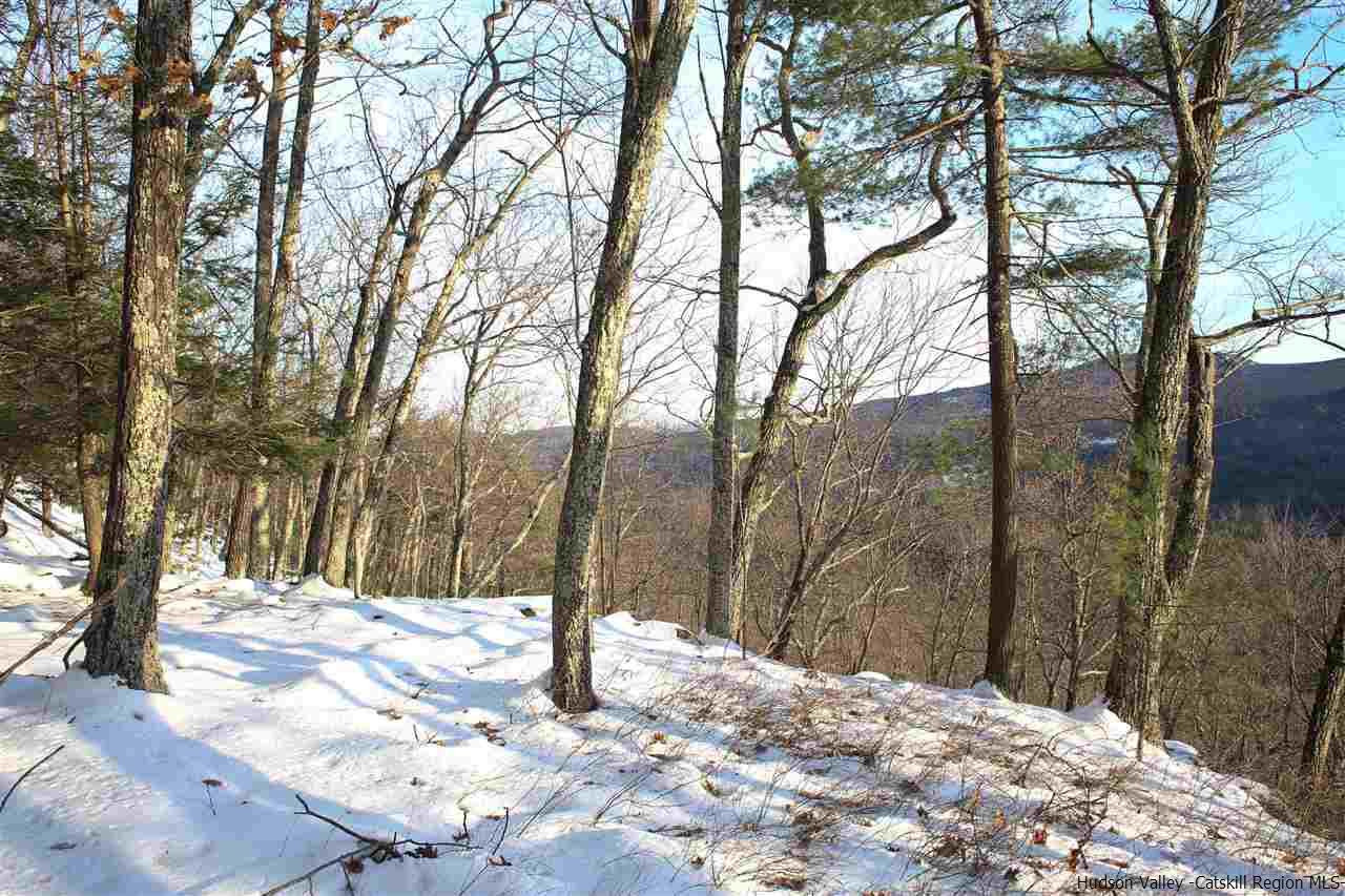 0 Jim's Road Mount Tremper, NY 12457 - Photo 33 of 34 Photo 33