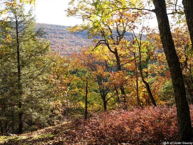 0 Jim's Road Mount Tremper, NY 12457 - Photo 4 of 34 Photo 4