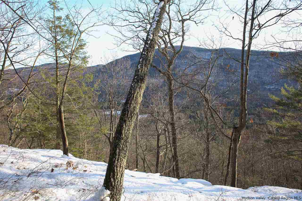 0 Jim's Road Mount Tremper, NY 12457 - Photo 5 of 34 Photo 5