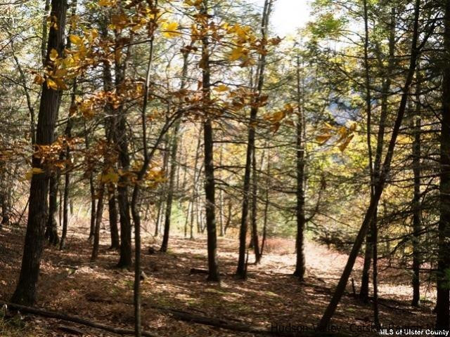 0 Jim's Road Mount Tremper, NY 12457 - Photo 6 of 34 Photo 6