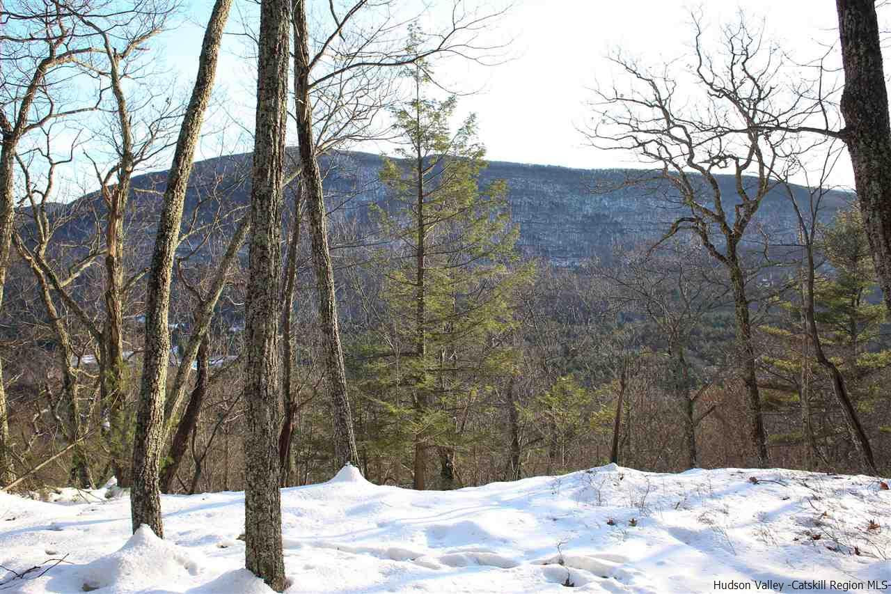 0 Jim's Road Mount Tremper, NY 12457 - Photo 7 of 34 Photo 7