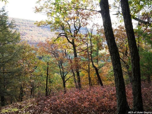 0 Jim's Road Mount Tremper, NY 12457 - Photo 8 of 34 Photo 8