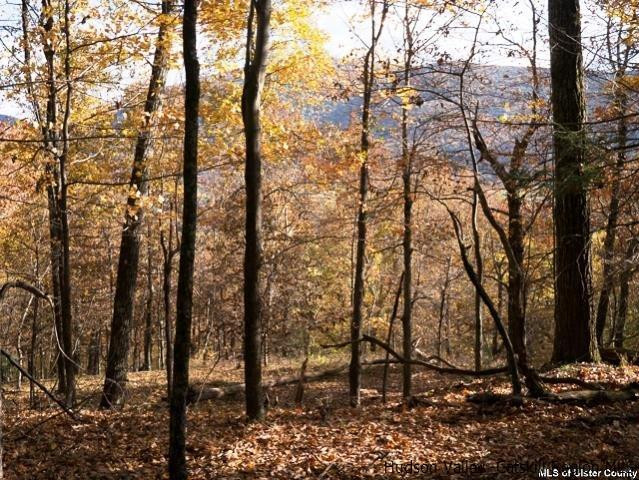 0 Jim's Road Mount Tremper, NY 12457 - Photo 9 of 34 Photo 9