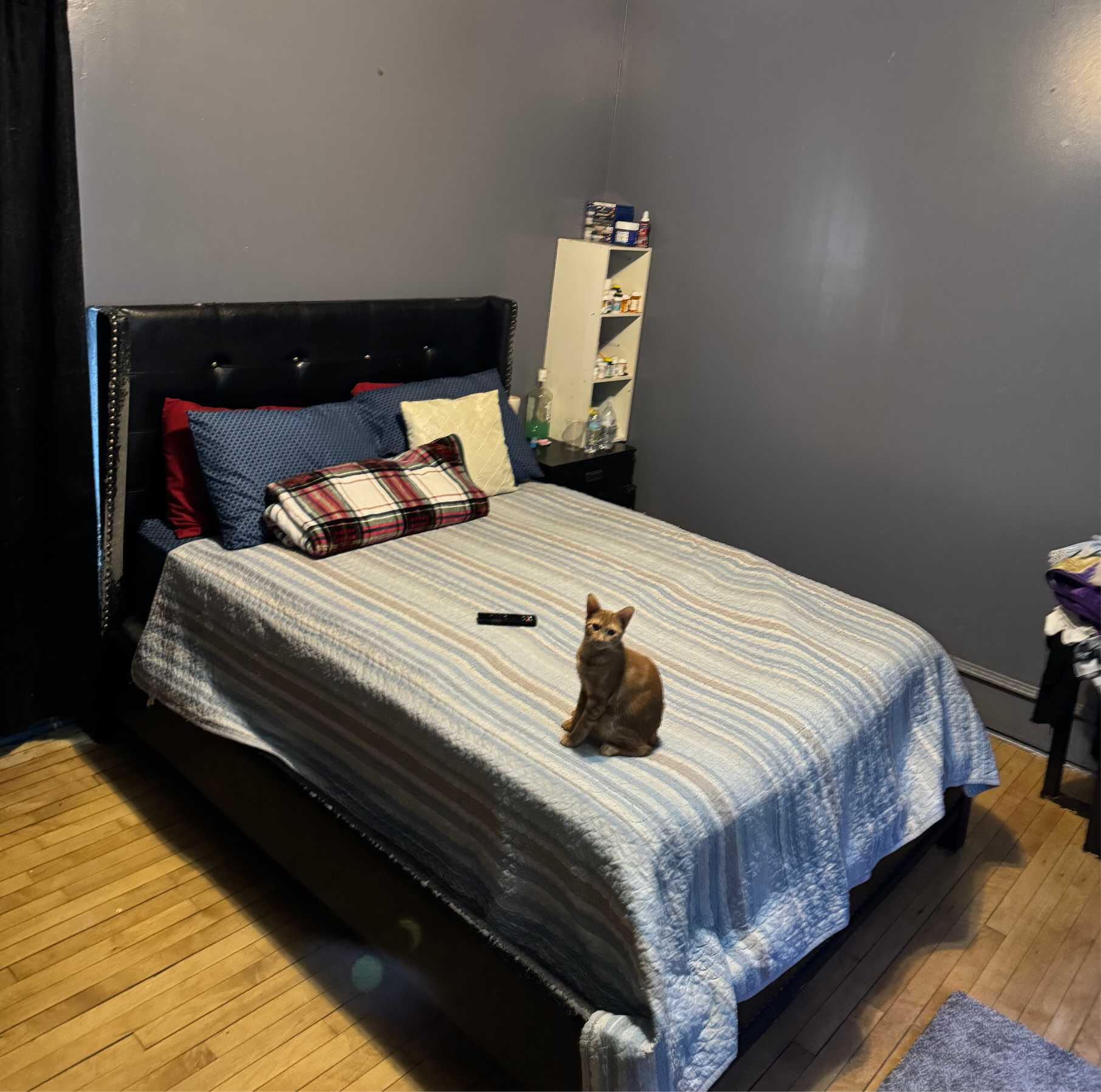 2342 North 45th Street, Unit 2344 Milwaukee, WI 53210 - Photo 13 of 16 Lower bedroom