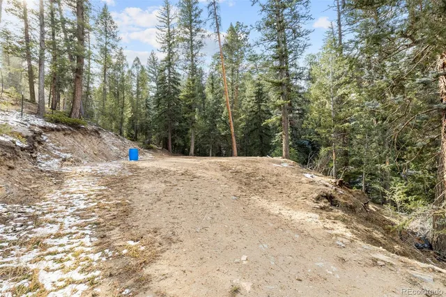 $1,375,000 | 33755 Columbine Circle, Evergreen, CO 80439