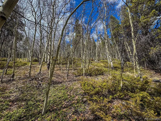 $275,000 | Buckeye Gulch Road, Leadville, CO 80461