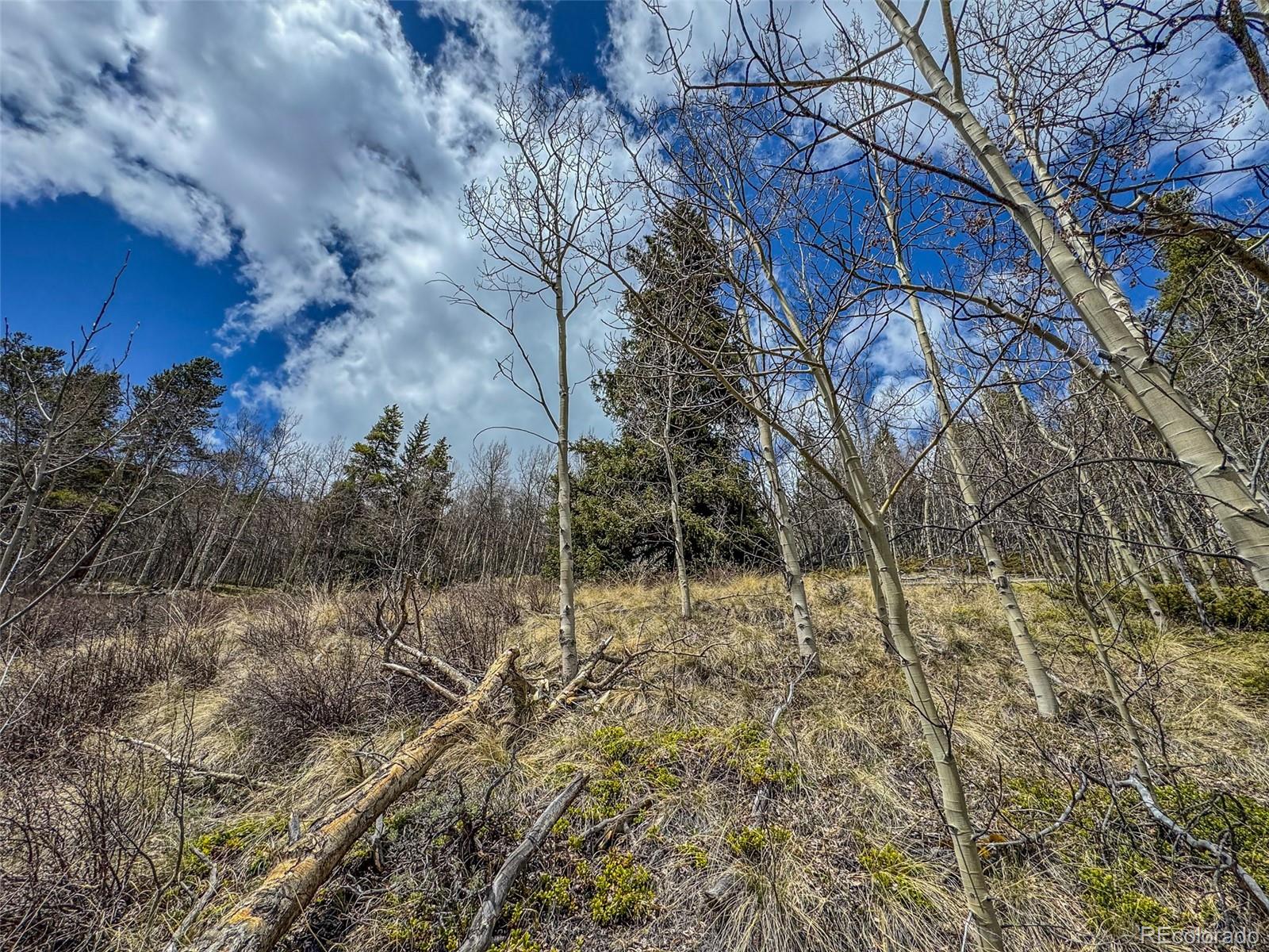 Buckeye Gulch Road Leadville, CO 80461 - Photo 6 of 9