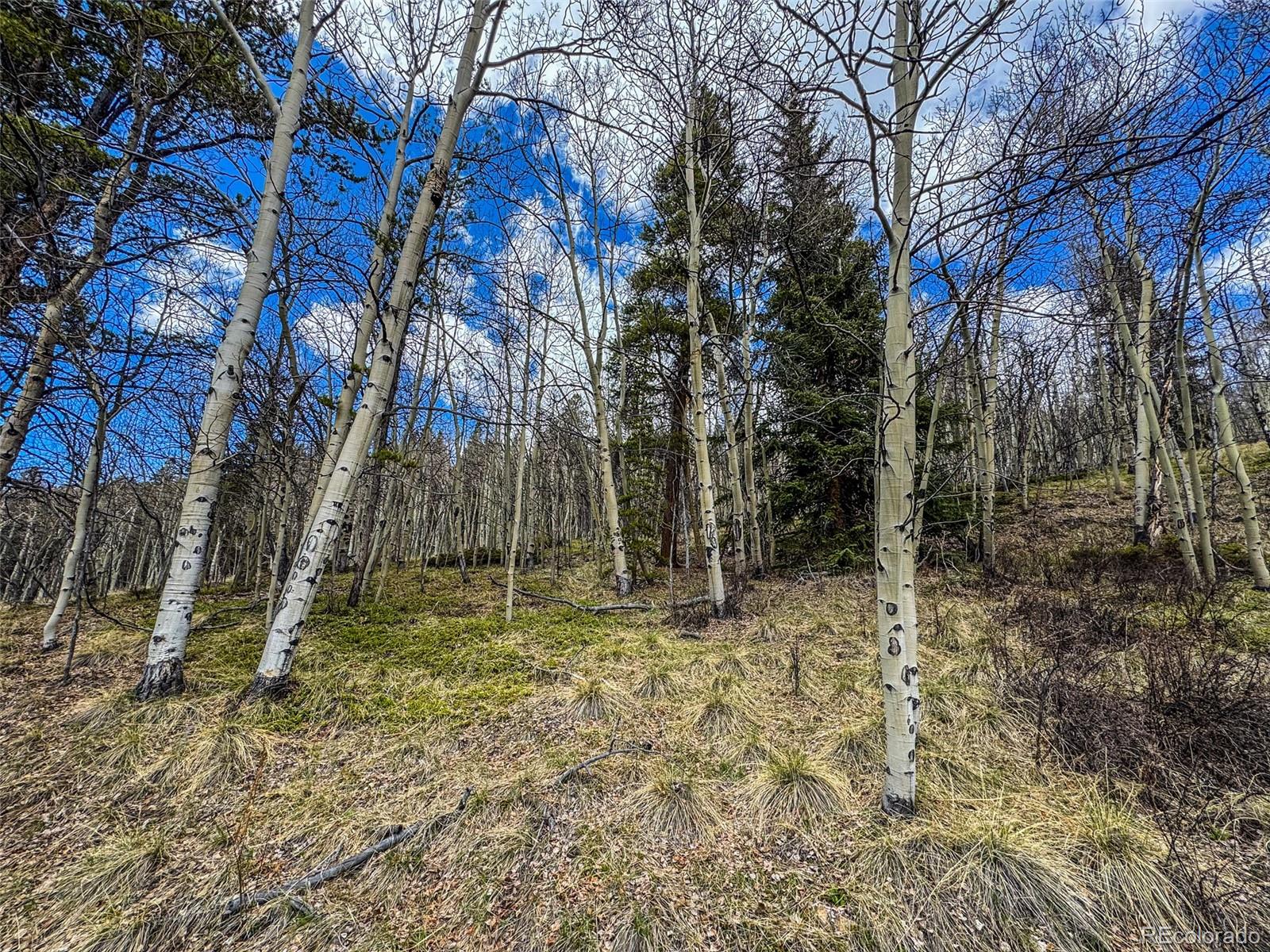 Buckeye Gulch Road Leadville, CO 80461 - Photo 9 of 9