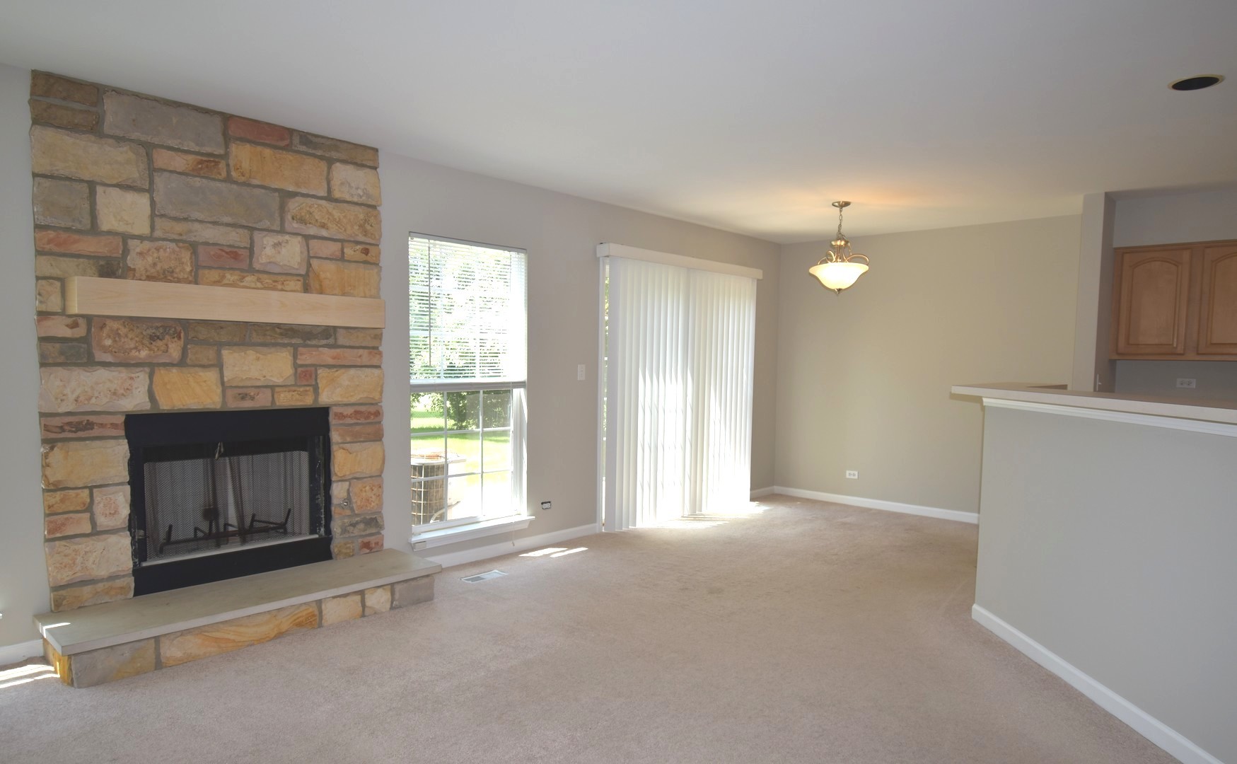 846 Old Checker Road Buffalo Grove, IL 60089 - Photo 7 of 21