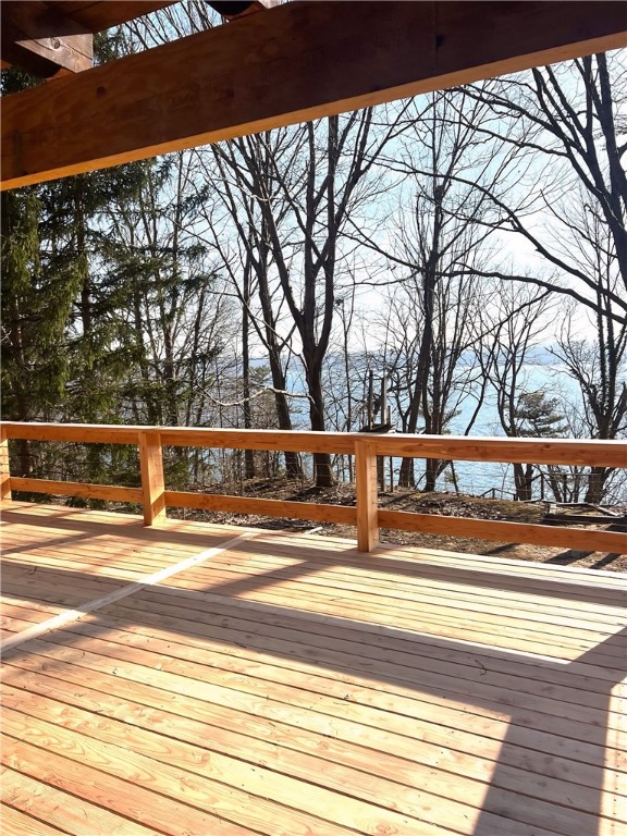 1677 Long Point Beach Road Torrey, NY 14527 - Photo 14 of 42 Winter lake view