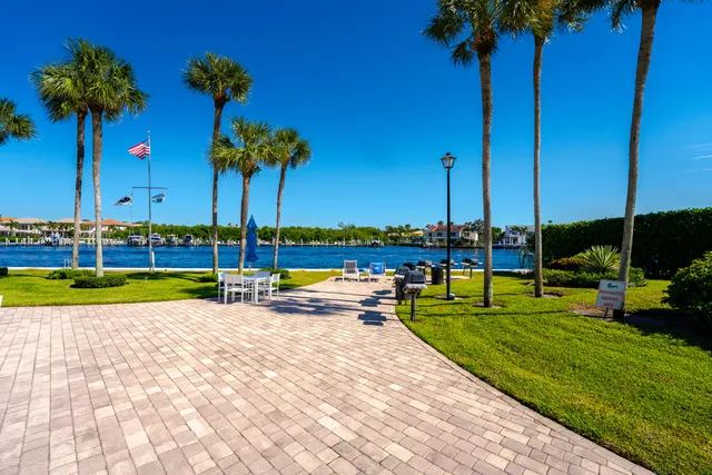 a view of a swimming pool with a garden and palm trees