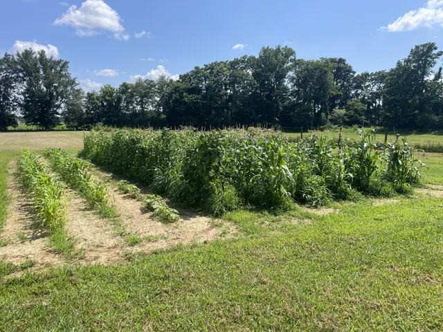 $689,900 | 3326 Highway 52 East, Lafayette, TN 37083