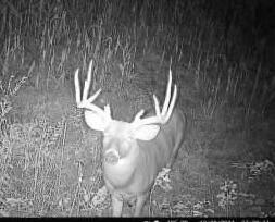 0 Twp Road Bellefontaine, OH 43311 - Photo 18 of 18